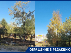 «Несколько месяцев страдаем от жуткой вони»: жители МКД на Маршала Кошевого устали от злостного запаха возле их дома 