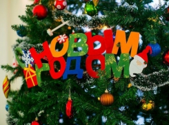 15 волгодонских одаренных школьников отправятся на Губернаторскую елку