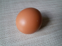 Курицы Волгодонска снесли в полтора раза больше яиц