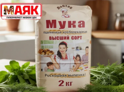 Товар дня: мука пшеничная в/с, 2 кг за  49,90 ₽