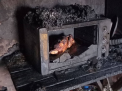Курочка в микроволновке вызвала страшный пожар