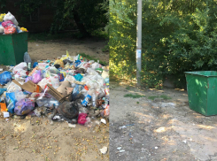Волгодонцы возмущены переполненными отходами контейнерными площадками