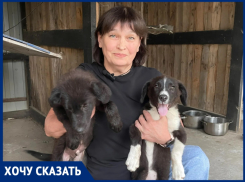 «Бороться нужно с бездомностью, а не с собаками: почему проблема бродячих животных - вина человека», - зооволонтер Лариса Семина 