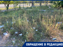 «Стыдно за наш город»: волгодонцы пожаловались на мусор в квартале В-4 