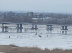 Талые воды на заливе и +6 за окном не остановили любителей зимней рыбалки от выхода на лед в Волгодонске