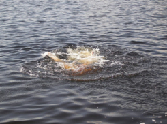 В Волгодонске на базе отдыха утонул 14-летний подросток