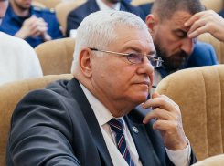 Последний номенклатурный зубр в Думе: пойдет ли снова на выборы Петр Горчанюк