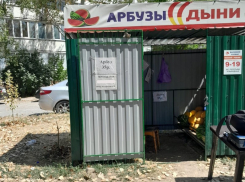 «Все установлено в соответствии с правилами»: торговля арбузами в квартале В-7 разрешена