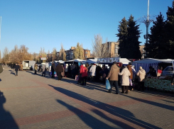 На весеннюю ярмарку «выходного дня» пригласили жителей Волгодонска 