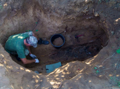 Останки советского солдата были найдены в Дубовском районе поисковым отрядом «Родник» 