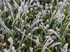 Возможны заморозки: волгодонцев предупредили о возможном ухудшении погоды