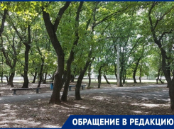 Компания дебоширов поселилась в Дубравушке