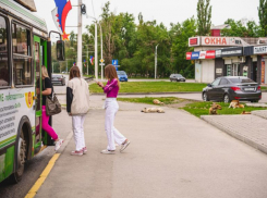 Новый автобусный маршрут 11М будет проходить по улицам старого города