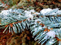 По ощущениям -15 и сильный ветер: о погоде в среду