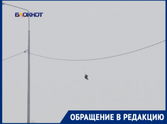 «Птица высокого полета или Золушка потеряла туфельку?»: неизвестный предмет на линии электропередач будоражит фантазию волгодонцев