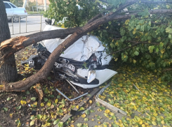 Новая «Лада Гранта» протаранила забор и въехала в дерево в Волгодонске