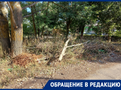 «Ольге» скоро полгода: микрорайоны Волгодонска остаются неубранными после зимнего циклона