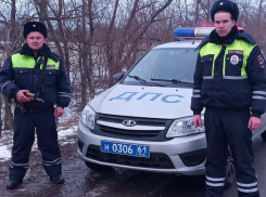 Инспекторы ДПС всю ночь помогали «заглохшему» посреди дороги водителю большегруза под Волгодонском