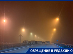 Утро в тумане, коровы на трассе: поездка ранним утром едва не закончилась трагедией