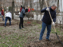 В Волгодонске убрали мусор с 60 гектаров улиц и парков