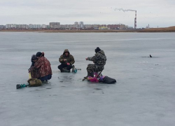 Преждевременный старт навигации уничтожит нерестилища в Цимлянском водохранилище, — ученые