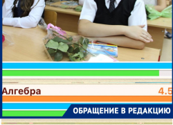 «С каких пор оценка выводится в пользу амбиций учителя?»: волгодончанка