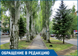 Волгодонцы обеспокоены возросшим количеством маргинальных районов в старой части города