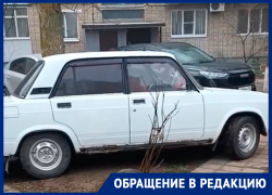 «Жигуль» колесит по тротуару и ломает молодые деревья: жители в гневе от поведения «автохама» на улице 30 лет Победы