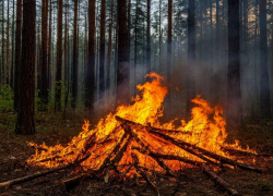 В Волгодонске и области с 6 апреля начнётся пожароопасный сезон