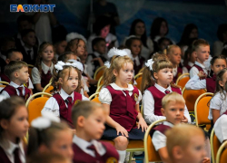 Китайский метапневмовирус не повлияет на формат учебы в школах Волгодонска