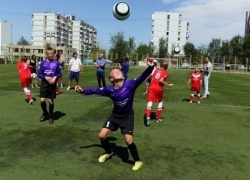 Нужно ли вводить в школах Волгодонска уроки футбола (ОПРОС)