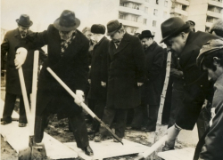 42 года назад немцы заложили парк «Дружба» в Волгодонске 