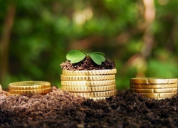 Срок уплаты земельного налога в Волгодонске продлят