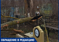 «Поломанные деревья разрушают оградки  и памятники»: волгодонцы о состоянии старого кладбища 