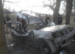 На автодороге Ростов-Волгодонск после столкновения с деревом «Ларгус» превратился в груду металла