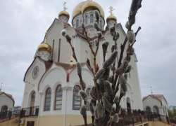 12 лет назад Волгодонск стал центром епархии