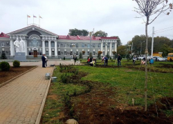 В Волгодонске высадили более 2000 деревьев и кустарников