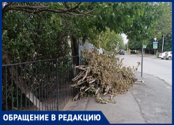 Огромная куча веток мешает гулять у Департамента труда и социального развития молодой маме 