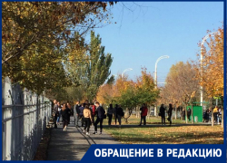 «Студенты курят, плюют мусорят, невозможно пройти»: волгодончанка