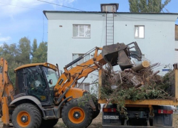 В Волгодонске стартовал осенний месячник чистоты