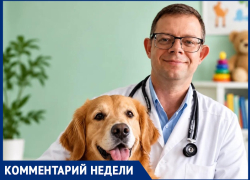  «Лохматый доктор» или скрытые угрозы: врач-педиатр Владимир Колдомасов о влиянии собак на здоровье ребёнка
