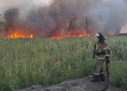 Пожары в Волгодонске стали одними из сильнейших в Ростовской области