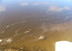 Волгодонский водоканал обвинили в загрязнении Дона ядовитыми веществами