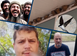 Нападения на улицах, добрые ласточки, пронырливые мигранты: главные новости Волгодонска за неделю