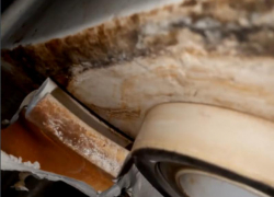 Виной всему оказался бачок унитаза: УК «Новый город» опровергла случай с потопом на улице 50 лет СССР 