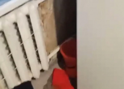 После публикации в «Блокноте» в доме на улице Морской залатали крышу