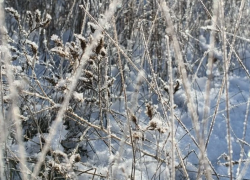 «По ощущениям -27»: сильный мороз и мощный ветер обещают сегодня в Волгодонске 