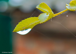 Сумрачно и прохладно: о погоде в Волгодонске в четверг