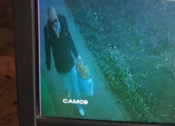 Убийцей и бывшим пациентом психбольницы оказался волгодонец, укравший у жильцов на субботнике личные вещи