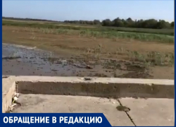 Волгодонец предлагает сделать пляж на обмелевшей набережной В-9